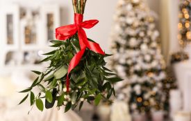Mistletoe bunch with red bow hanging in room decorated for Christmas