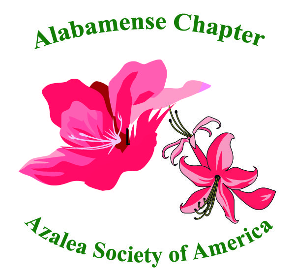 Alabamense Chapter of Azalea Society of America logo
