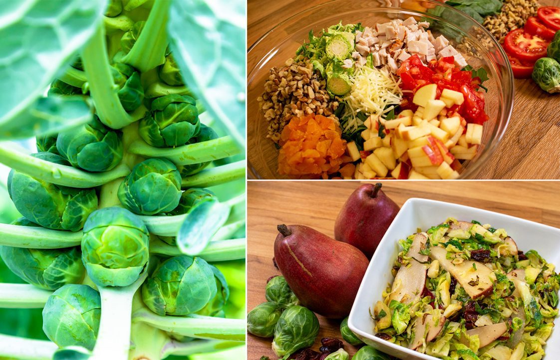 A picture collage that shows Brussels sprouts growing in a garden and two prepared dishes that used Brussels sprouts.