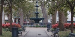 The fountain in the middle of Bienville Square in Mobile, Alabama. A squirrel is playing on the sidewalk and the azaleas are blooming.