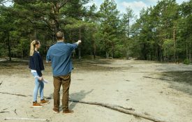A man and a woman survey a wooded area of land.
