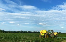 Tractor spreading liquid fertilizer on corn.
