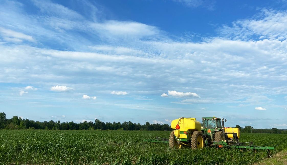 Tractor spreading liquid fertilizer on corn.