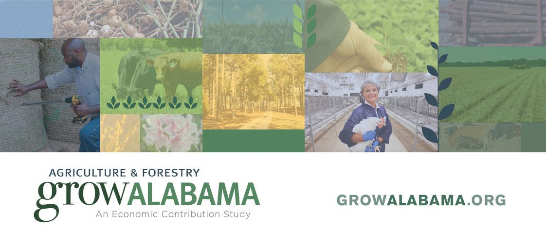 A collage of images related to the ag and forestry section. There is also the logo for the Agriculture & Forestry Grow Alabama: An Economic Contribution Study project.