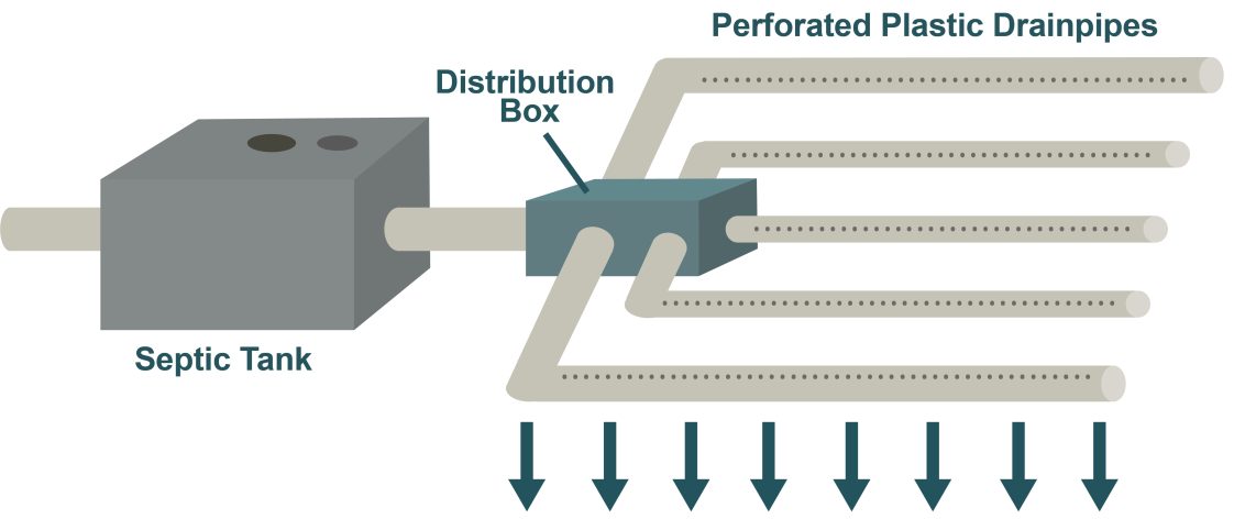 Figure 3. Absorption field (drain field).