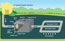 Figure 1. A typical septic system.