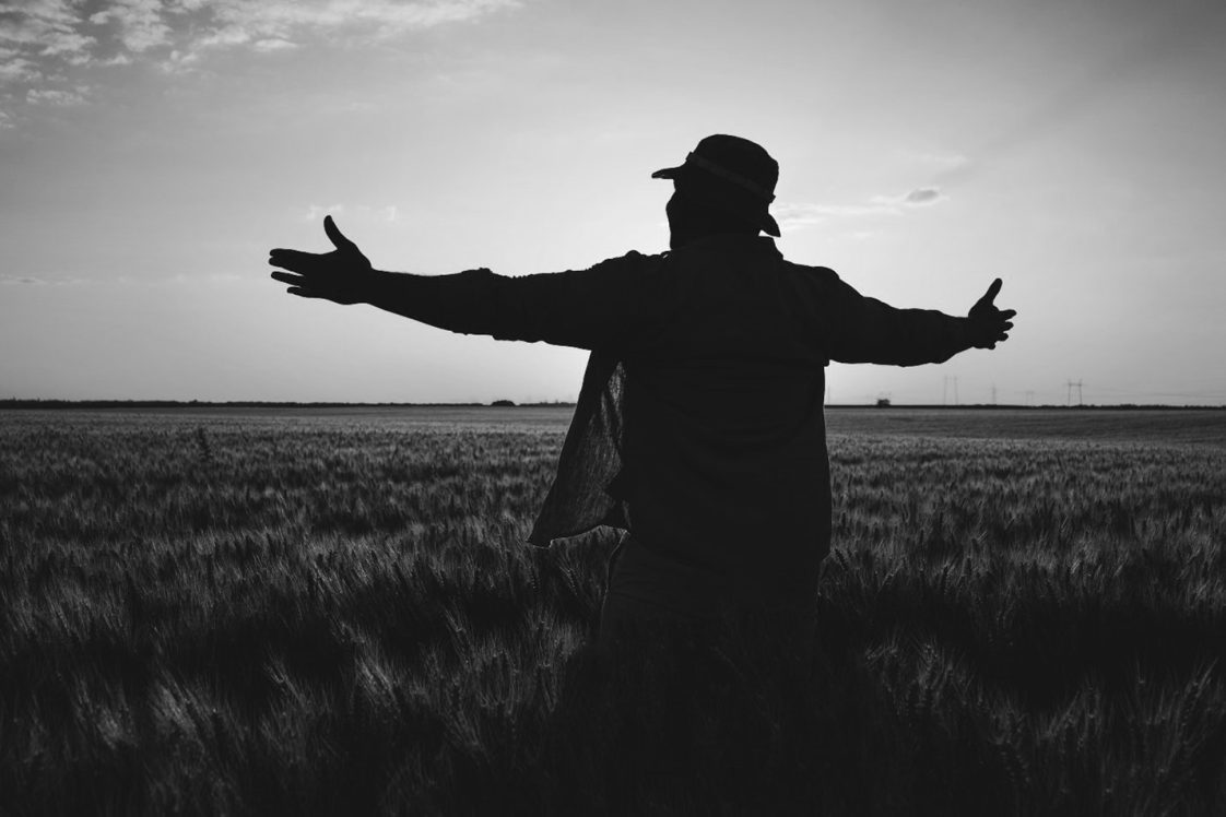 Black farmer looking at crops