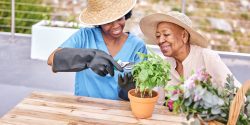 Older adult gardening