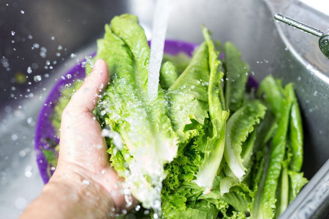 A person washing lettuce.