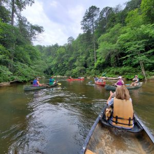 Canoeing Clear Creek in Winston County, Alabama.