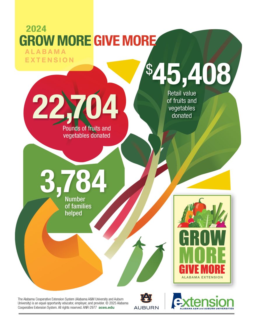 Illustrated fruits and vegetables with the following text: 2024 Grow More Give More Alabama Extension. 22,704 Pounds of fruits and vegetables donated. $45,408 Retail value of fruits and vegetables donated. 3,784 Number of families helped.