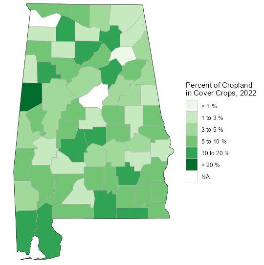 Map of cover crops as a percentage of cropland by county in Alabama for 2022