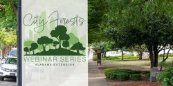 City Forests Webinar Series Alabama Extension