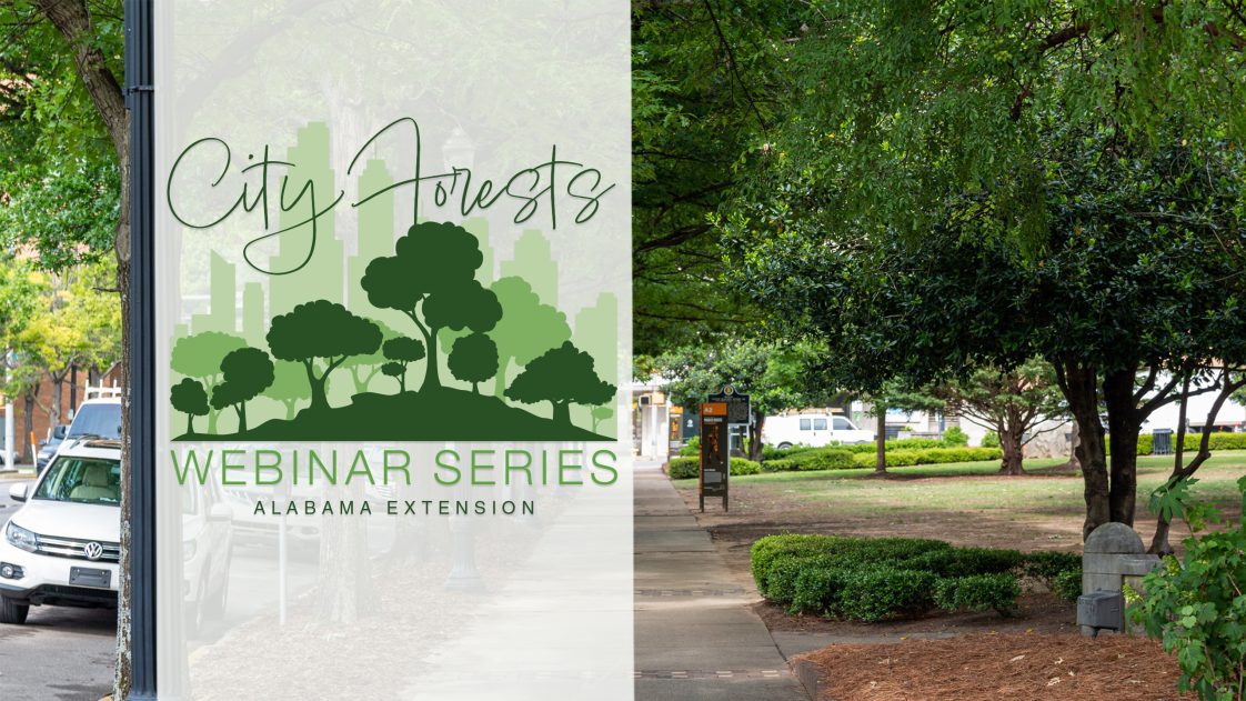 City Forests Webinar Series Alabama Extension