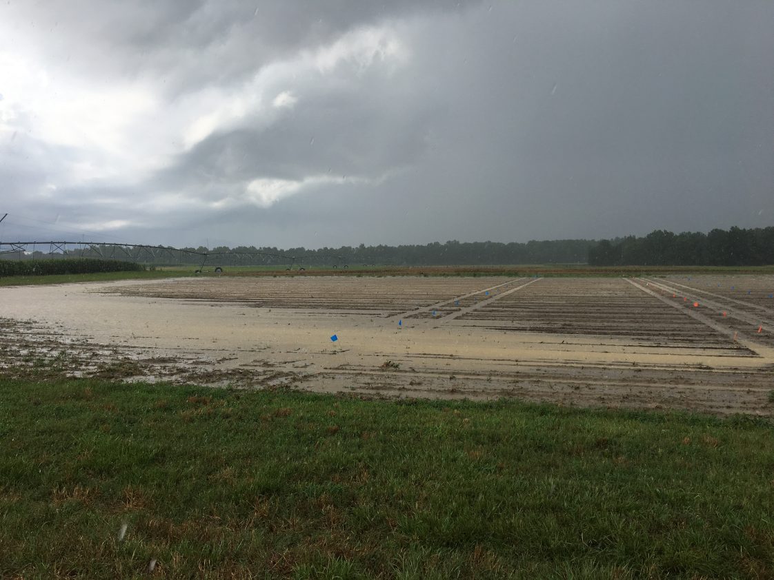 Figure 1. Sediments flowing in a runoff event.