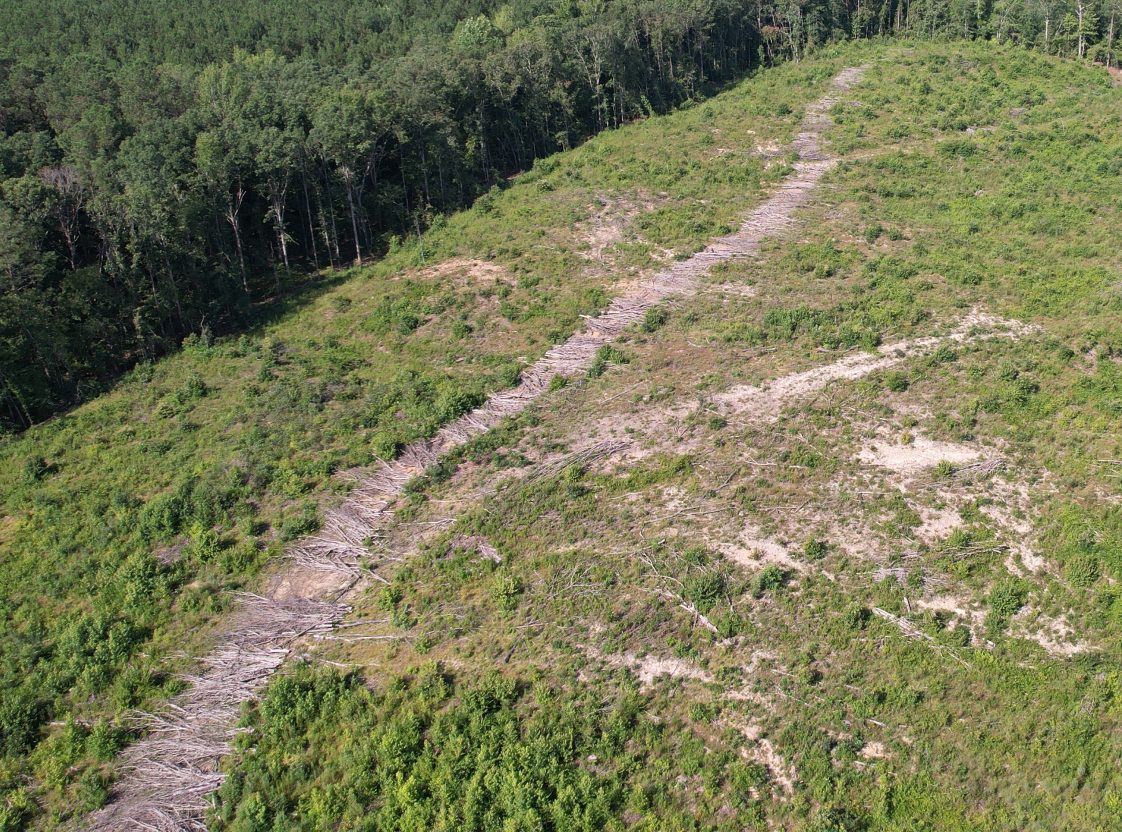 Figure 12. Logging slash scattered over a skid trail to reduce erosion as a close-out BMP option.