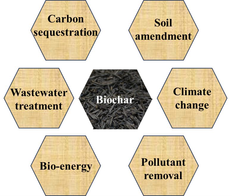 A diagram showing biochar's uses including carbon sequestration, wastewater treatment, bio-energy, pollutant removal, climate change, and soil amendment.