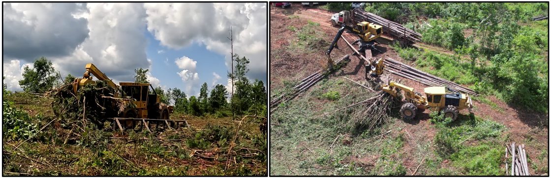 Figure 5. Skidder taking slash from a gate delimber (left) and log landing/deck (right) and spreading it back across the site. This slash can be spread on skid trails for the skidder to drive over to minimize soil rutting and compaction like that seen in figures 3 and 4.