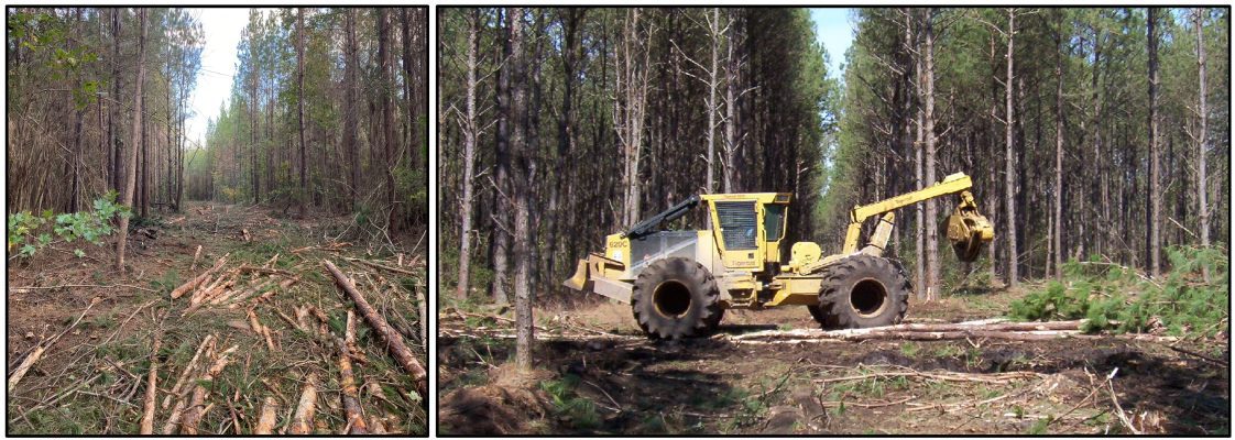 Figure 6. Skidder operator placed slash from the log landing/deck on the main skid trail to avoid soil rutting and compaction while harvesting during wet weather.