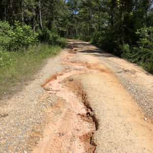 Washed-out segment of a forest road that has no water diversion devices