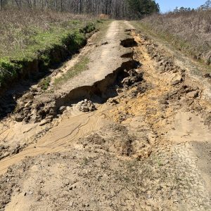 Washed-out forest road and erosion going directly into a stream not pictured. No water diversion devices were implemented on the road.