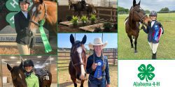 A collage of past Alabama 4-H State Horse Show winners holding their ribbons and standing near their horses.