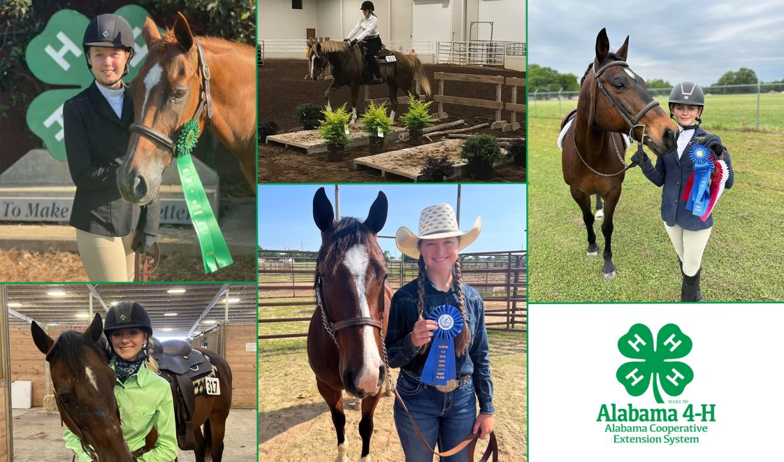 A collage of past Alabama 4-H State Horse Show winners holding their ribbons and standing near their horses.