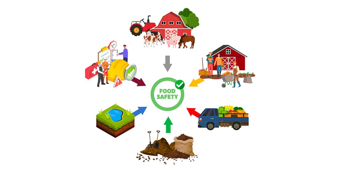 An illustrated graphic of different farm scenes that include food safety aspects.