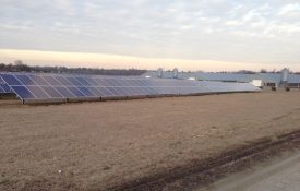 poultry farm using solar
