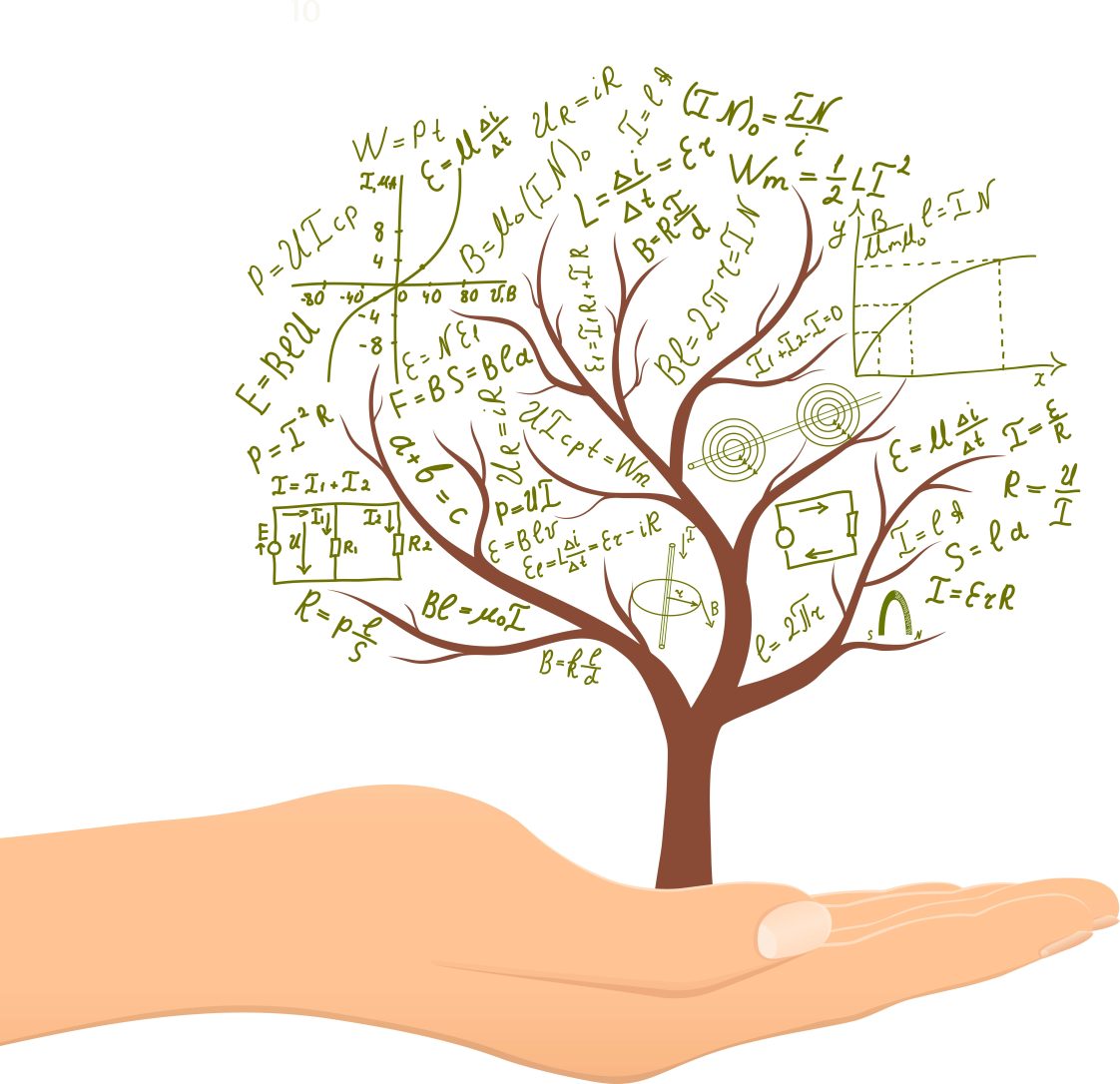 Figure 4. Tree allometric equations can provide estimates of urban tree carbon stocks as a function of one or more variables of tree structure (e.g., DBH, tree height, etc.). The US Department of Agriculture has conducted tree inventories in several cities across the United States to develop new equations for urban trees.