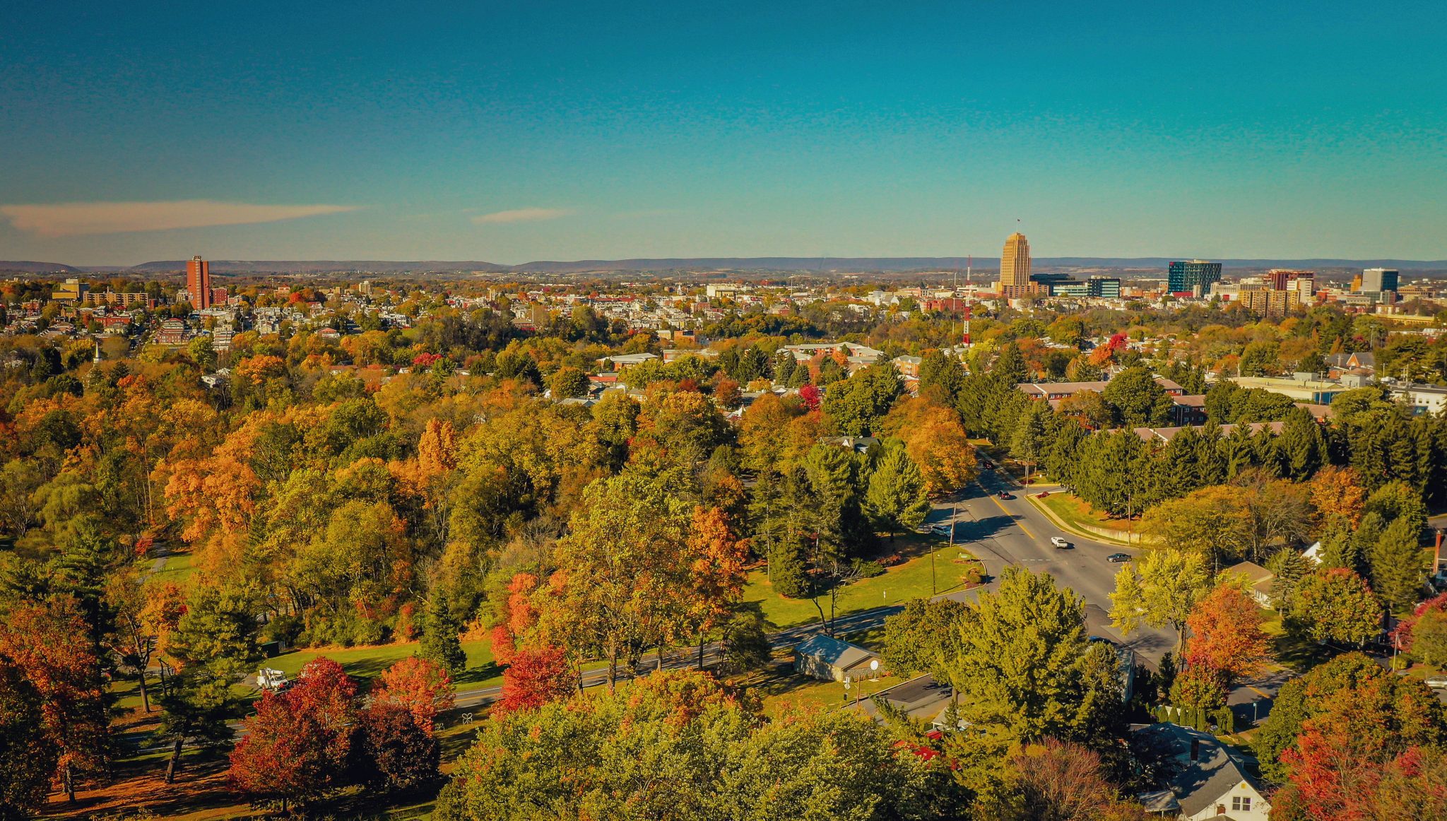 Traditional Methods of Urban Forest Carbon Stocks Quantification ...