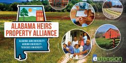 Alabama Heirs Property Alliance