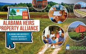 Alabama Heirs Property Alliance