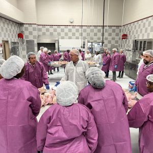 People in purple smocks wearing hairnets listening to experts in white smocks as they stand around tables with raw whole chickens.
