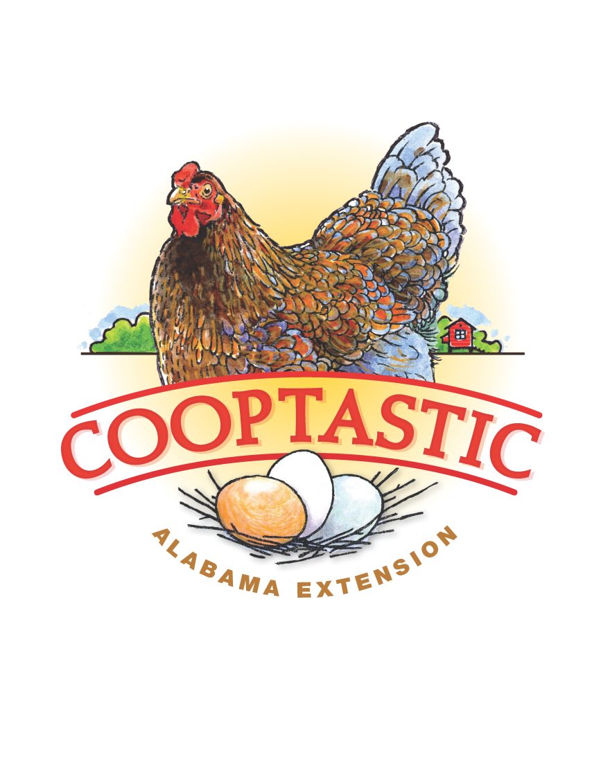 A logo for Cooptastic that includes a chicken and three eggs in a next with the words Alabama Extension.