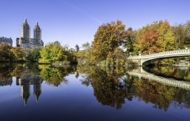 New York's Central Park features fall foliage reflected on the Central Park Lake. Also seen here is Bow Bridge, one of the famous landmarks in the park.