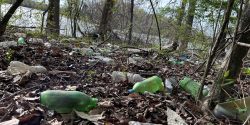 Plastics in the environment
