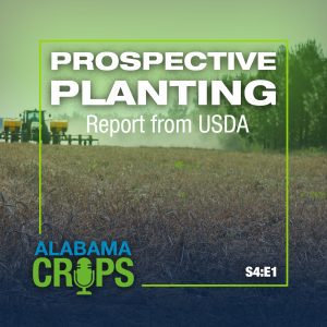 Season 4 Episode 1 — Prospective Planting Report from USDA