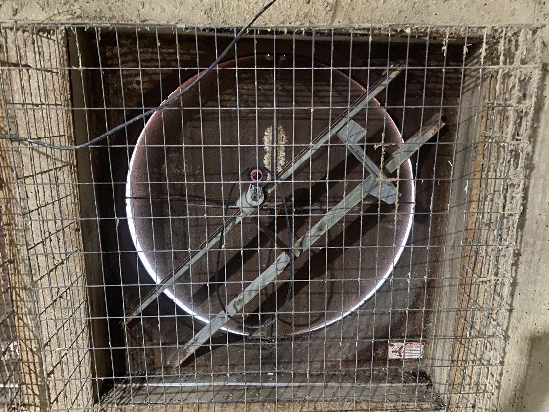 Figure 1. Can you identify the problem with the fan in this picture? A. Nomotor, B. No propeller, C. Not clean, D. All the above. If you answered, D (All the above), you would be correct. Also note that the adjacent tunnel fan #3 is plugged into the outlet above this fan, tunnel fan #1. This fan is not ready for hot weather.