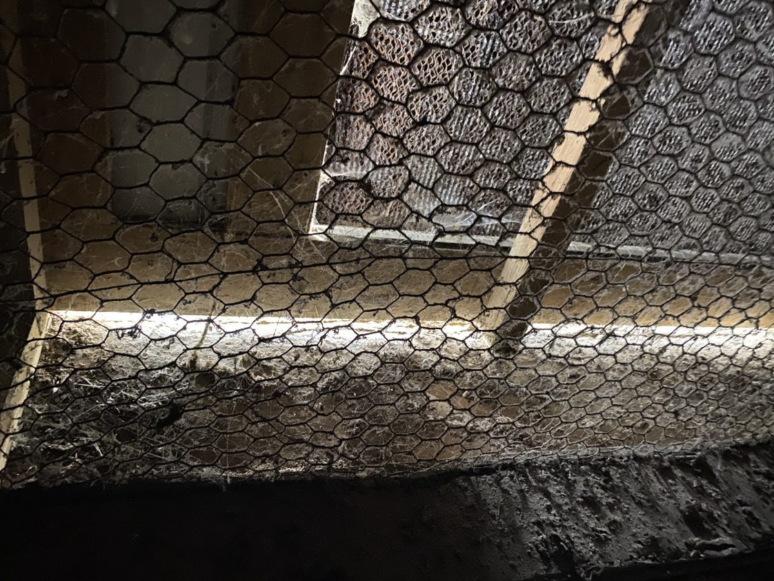 Figure 2. Can you identify the problem or problems in this picture taken from the inside of a broiler house looking through the tunnel inlet? A. Cobwebs on pads, B. Cobwebs on bird wire of inlet, C. Light and air leak entering between the floor and wall of the doghouse, D. Floor is dirty, E. All the above. If you answered, E. (All the above), you would be correct. This doghouse and pad system are not ready for hot weather.
