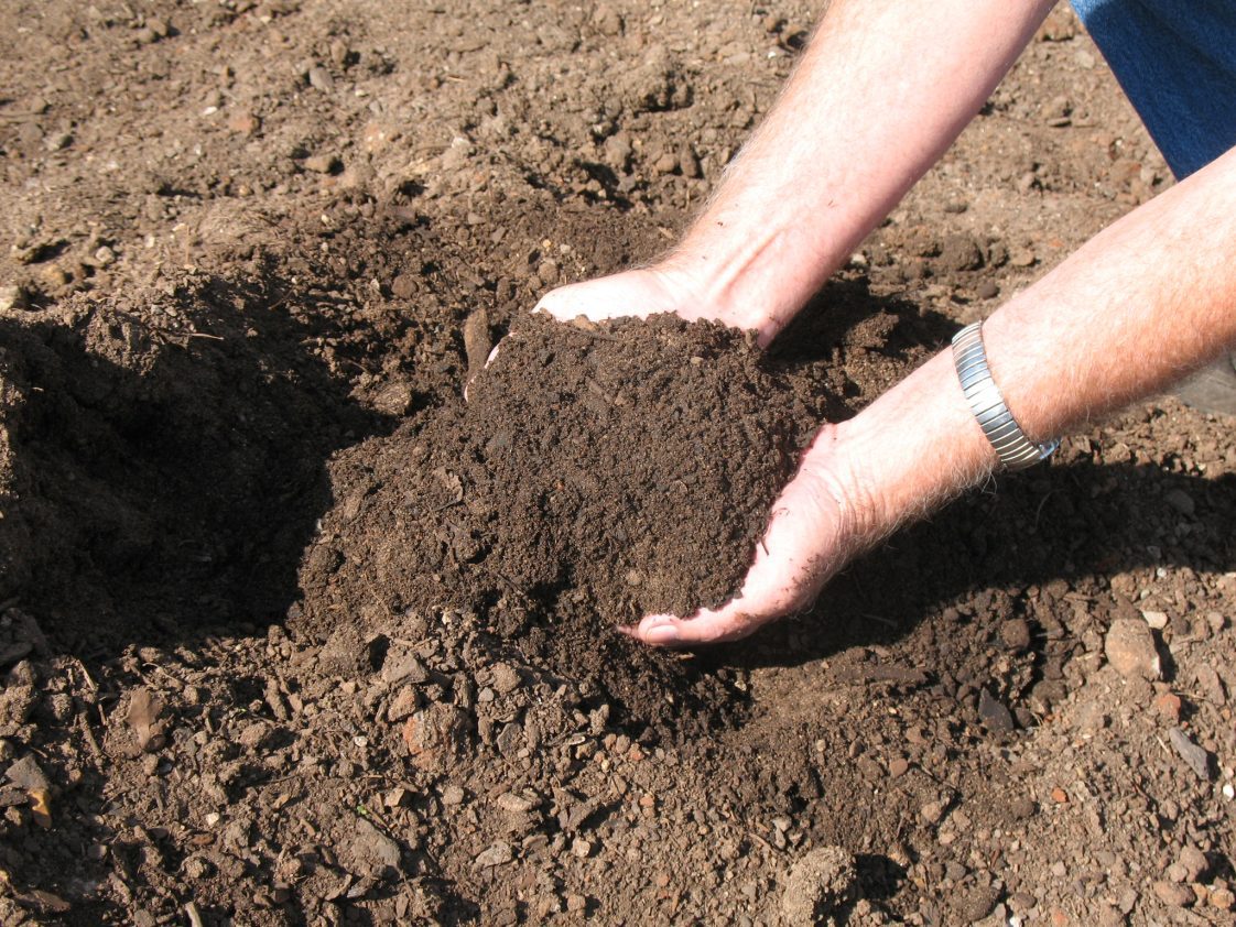 A person's hands holding garden soil.