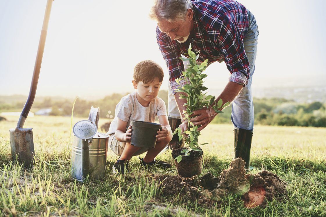 Grandfather planting a tree with grandson