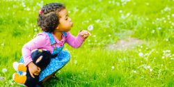 A toddler girl blowing a dandelion flower.