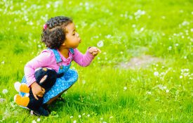 A toddler girl blowing a dandelion flower.