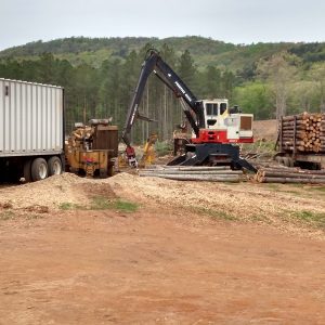 Figure 2. Knuckle-boom loader processing trees and loading woody biomass into an in-woods chipper.