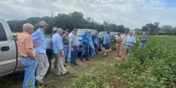 people gathered around the edge of a field at the cotton scouting short course