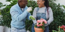 Happy Black senior couple having fun gardening together at house patio