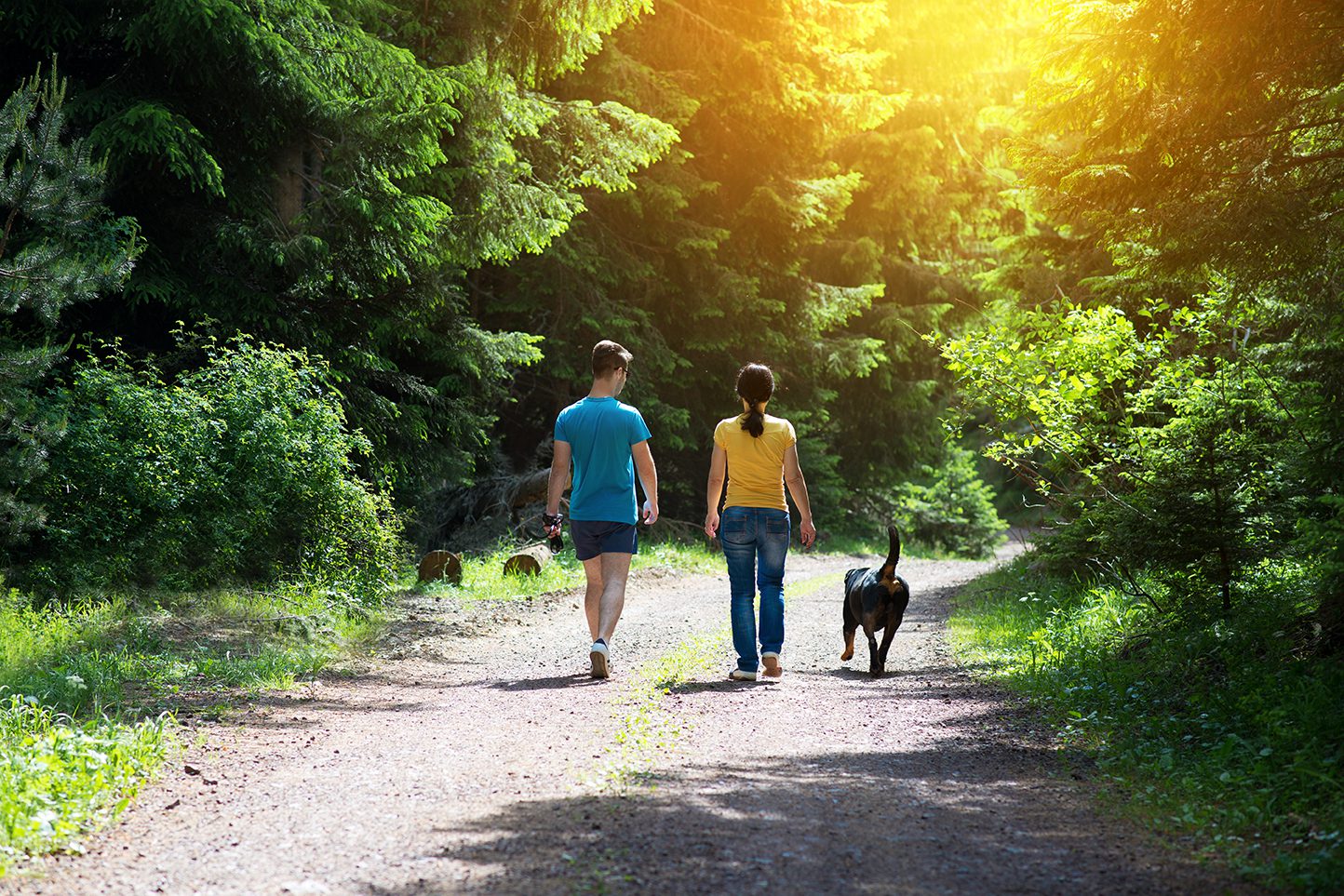 A young adult couple, man and woman, walking in a wooded area with their dog.