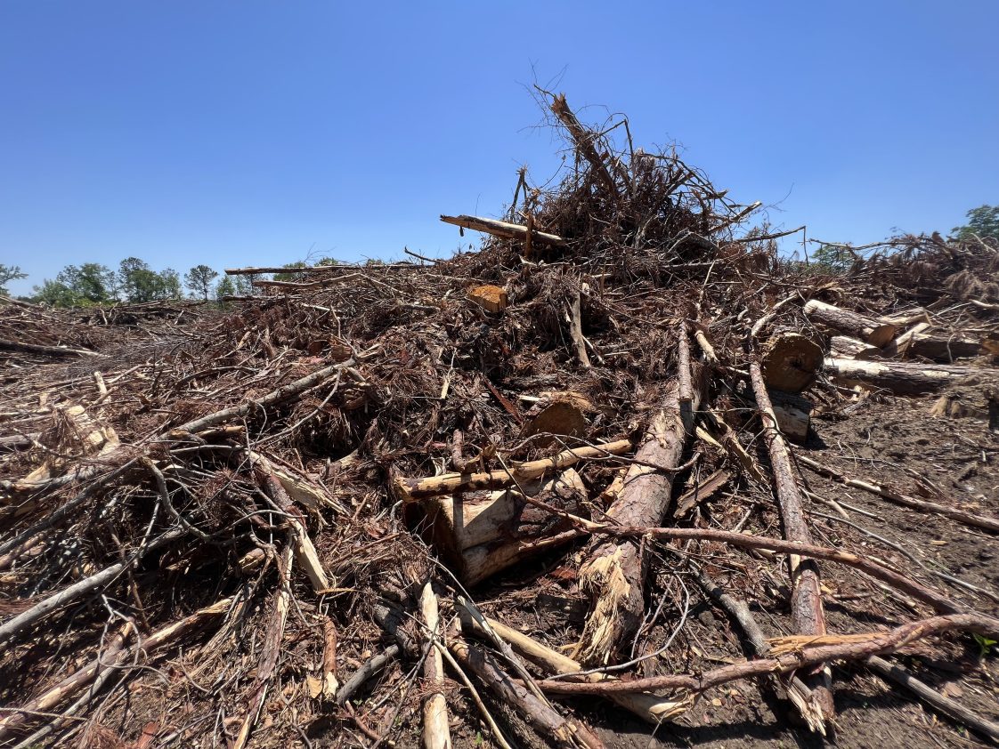 Figure 1. Woody biomass left on a conventional harvest site.