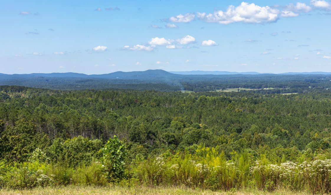 A mountain overlook of forest land.